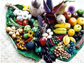 農(nóng)產(chǎn)品溯源系統(tǒng)具有哪些優(yōu)勢(shì)？